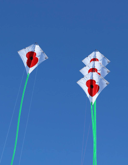 Peter Powel stunt kite full