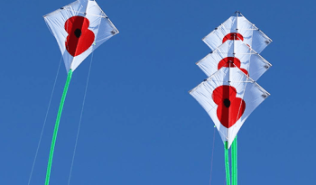 Peter Powel stunt kite full