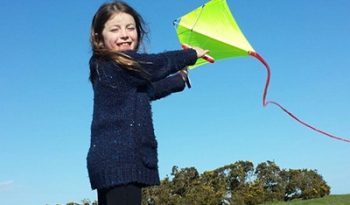 Peter Powel stunt kite full