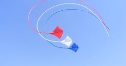 Peter Powel stunt kite